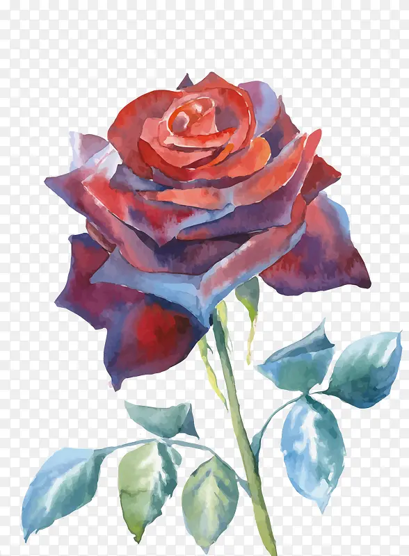 ʸ��õ�廨-������