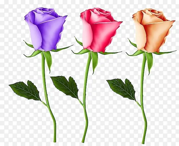 �ֻ�õ�廨-������