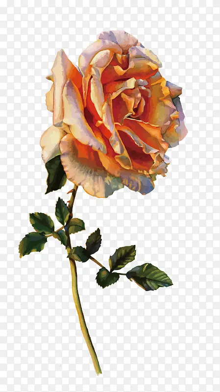 ʸ��õ�廨-������