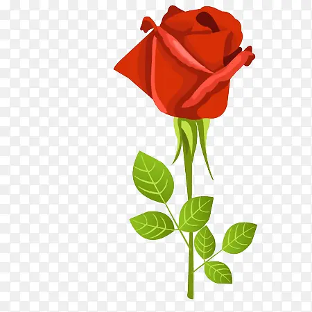 õ�廨�廭-������