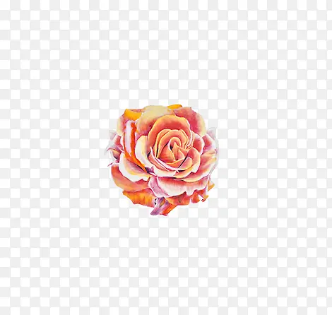 ɫ���ֻ�õ�廨-������