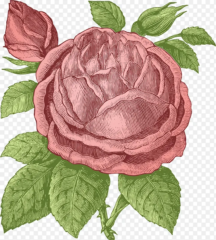 �ֻ�õ�廨-������