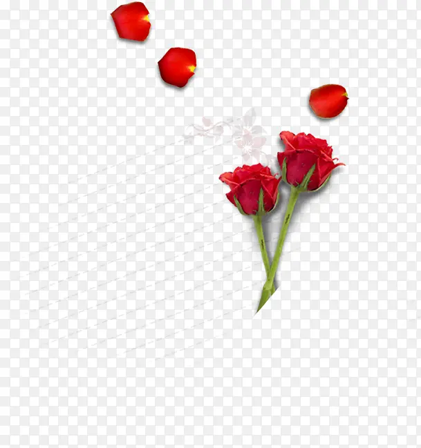 õ�廨 ����-������