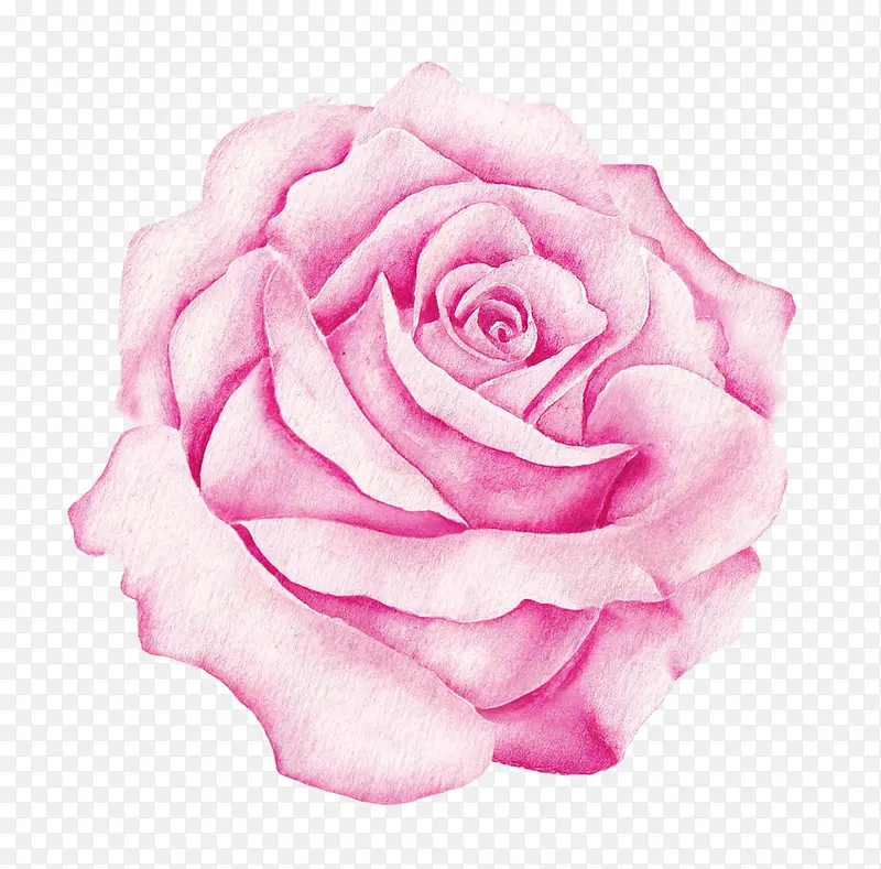 ˮ��õ�廨-������