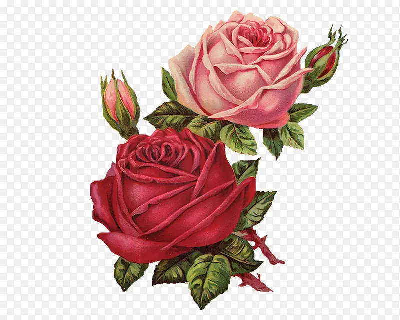 õ�廨�ֻ�-������