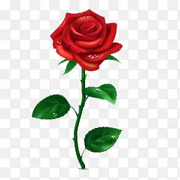 �ֻ�õ�廨-������