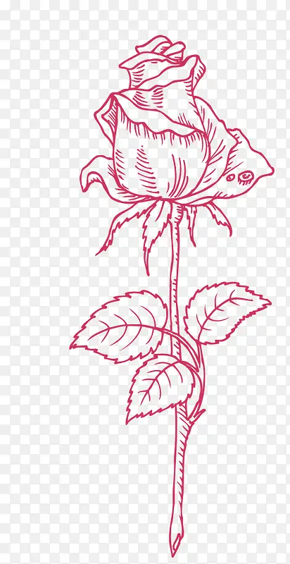 �ֻ�õ��-������