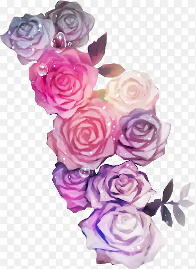 ˮ��õ�廨-������