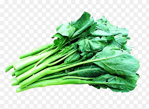 ���ʽ���Ҷʳ��-������