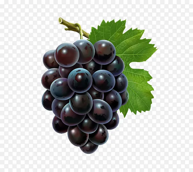 ����-������