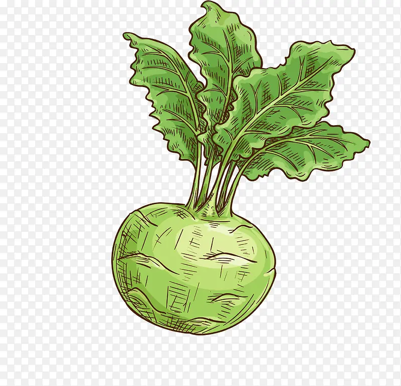 ʸ����ͨ��ƽ�����png-������