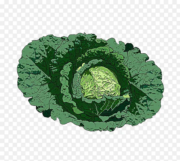 �ײ˲�ͼ-������