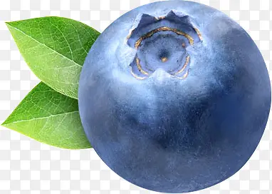 �������ʾ�����ݮЧ������-������