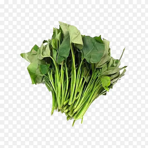 ���ʵķ���Ҷ-������