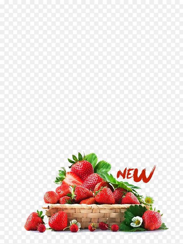 ��ɫ��ݮ-������