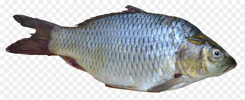 ����-������