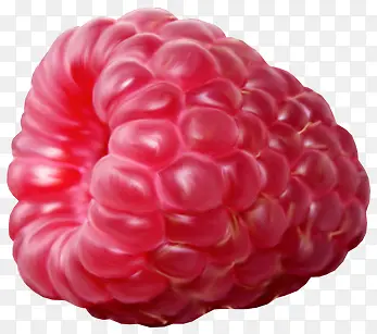 ��ݮ-������