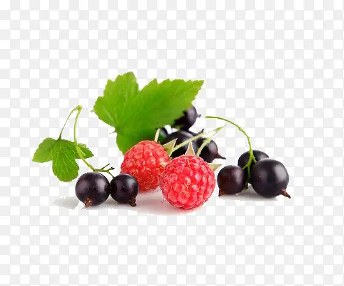 ����ˮ��-������