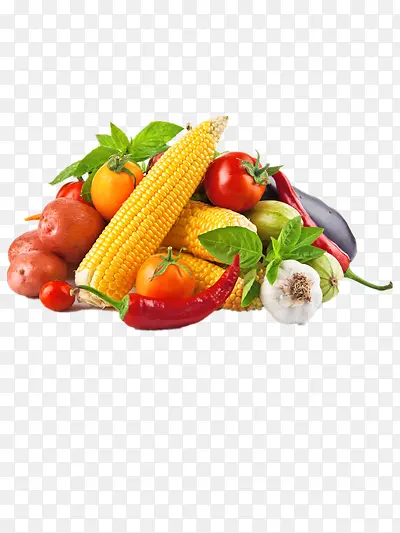 �����߲�-������