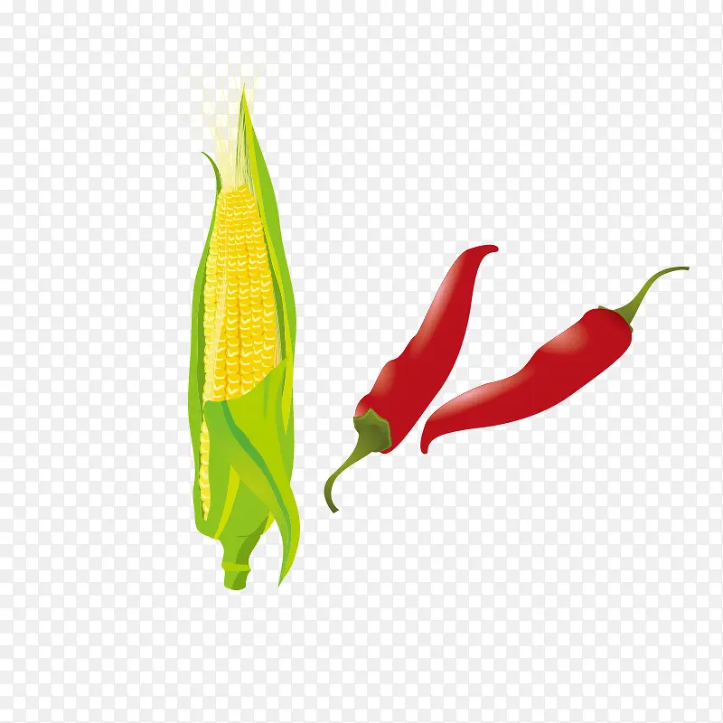 ��ͨʳ���߲�-������