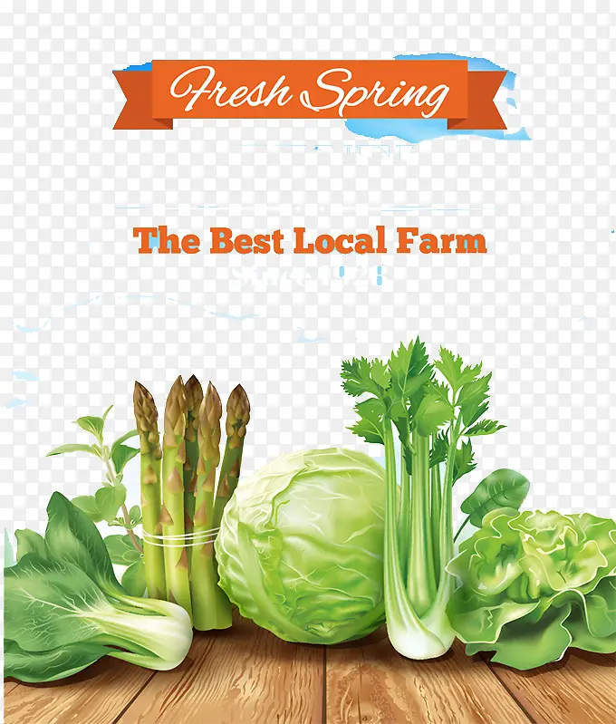 �����߲�-������