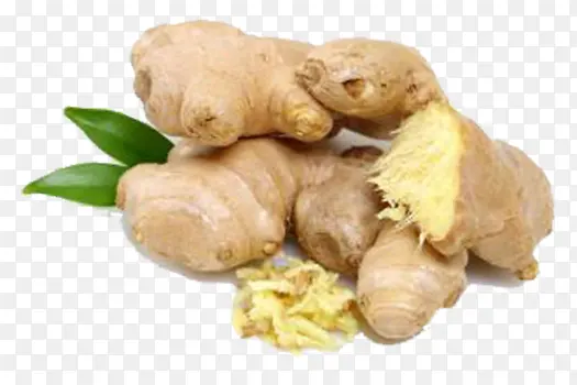 �����ز�����ز�-������