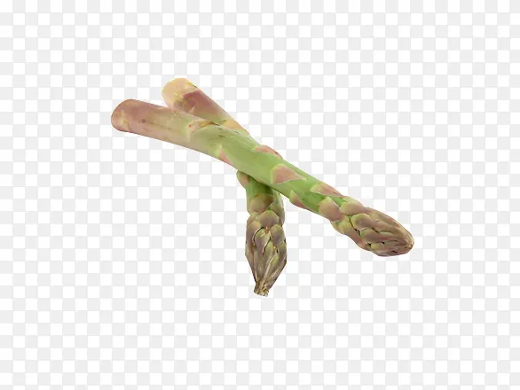 �����߲�-������