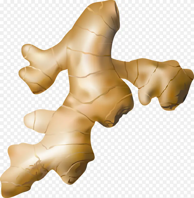 ���������ز�-������