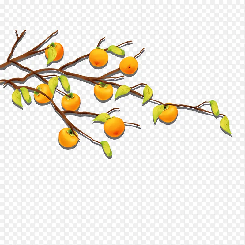 ����ˮ��-������