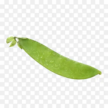 ���ʺ�����-������