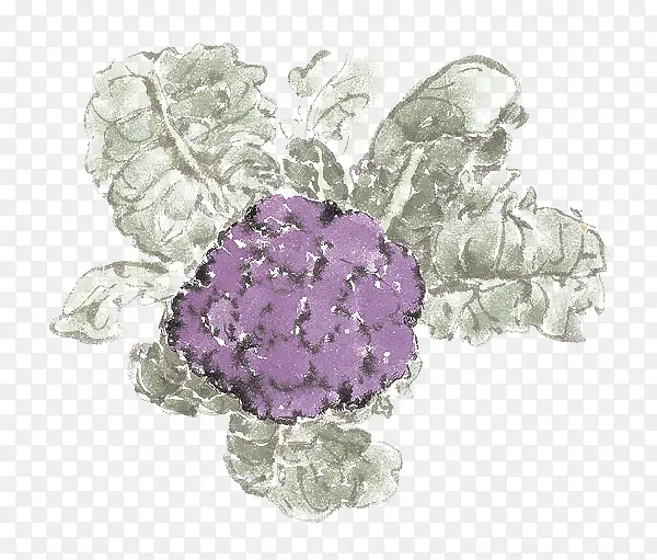 �ֻ����Ĳ�-������