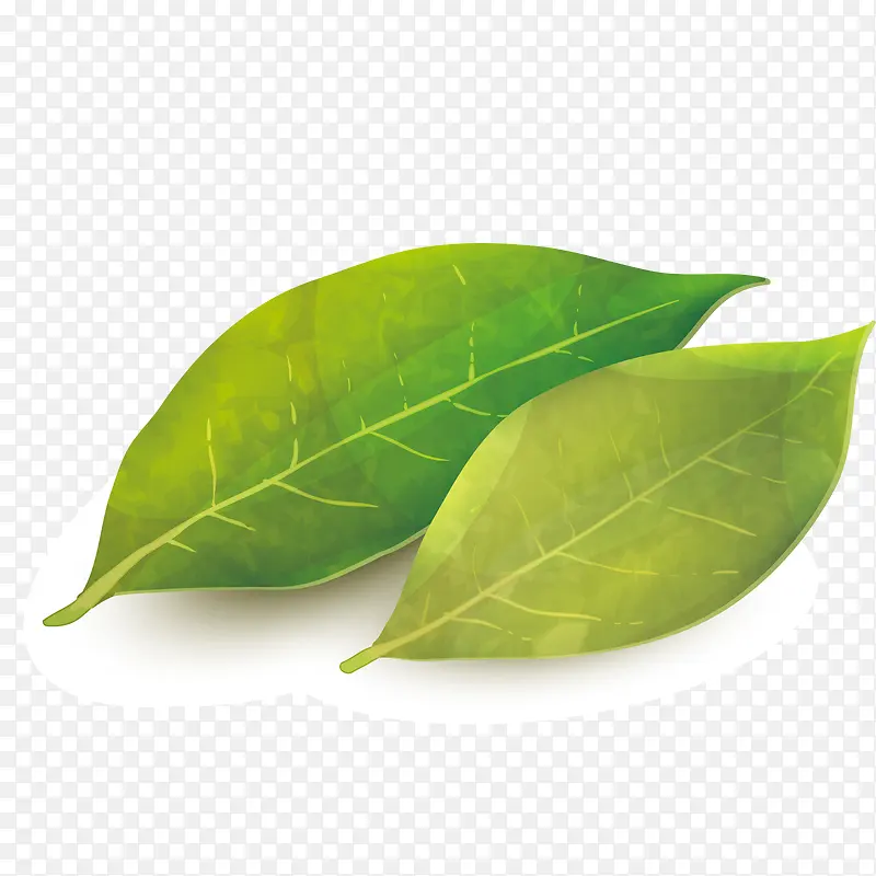 ʸ��ֲ��Ҷ-������