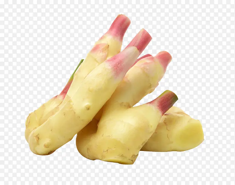 �����߲˽����߲�-������