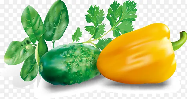 �ֻ���ɫ�����߲�Ԫ��-������