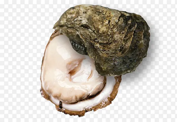 ������ζ���-������