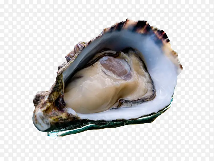 ���ʿɿ����-������