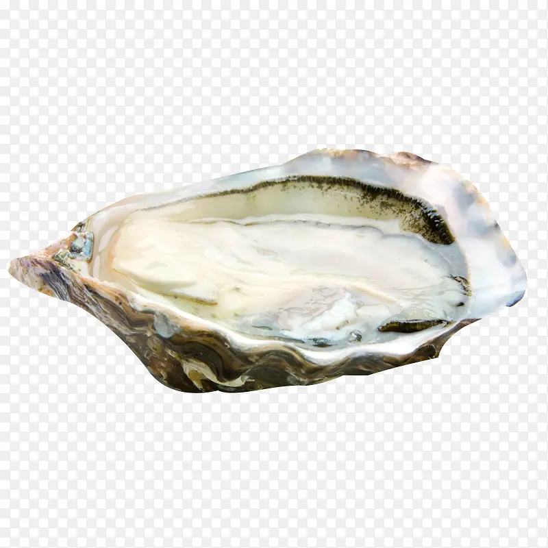 ���ʰ��������-������