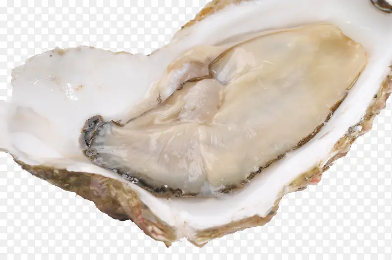 �������-������