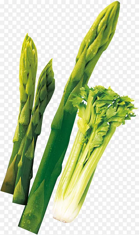 �����߲�-������