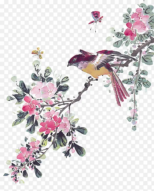 ϲȵ-������