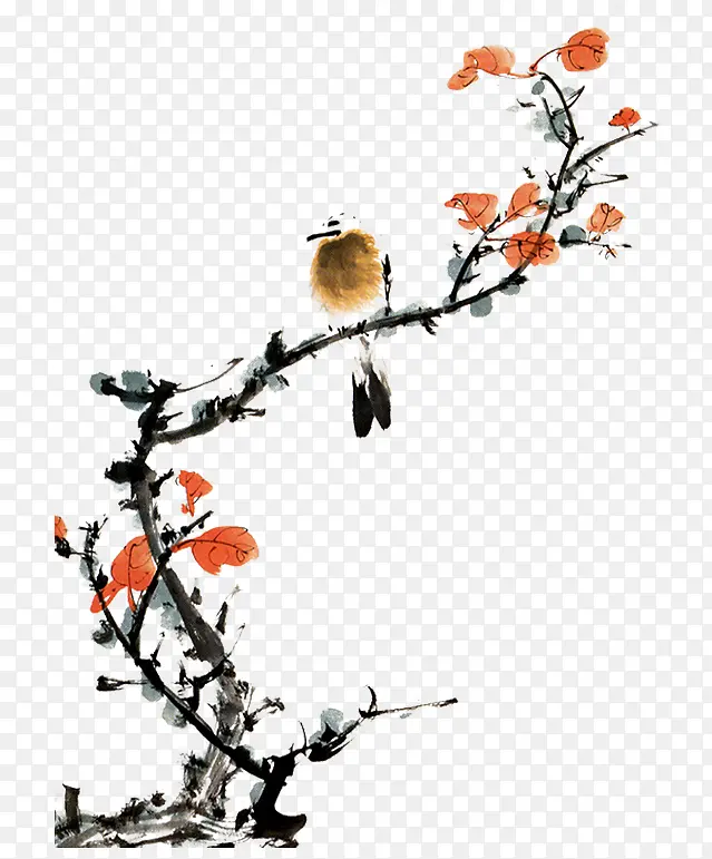 �й�����֦-������