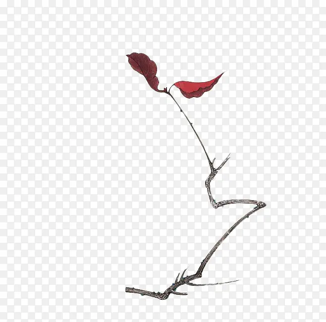 ��֦ͷҶ��-������