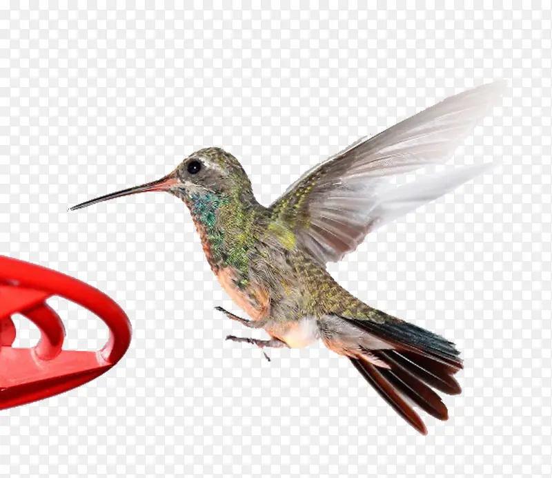 �ɱ���С��-������