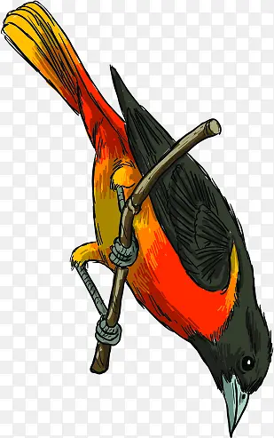 �ֻ��ͷ����ϲȵ-������