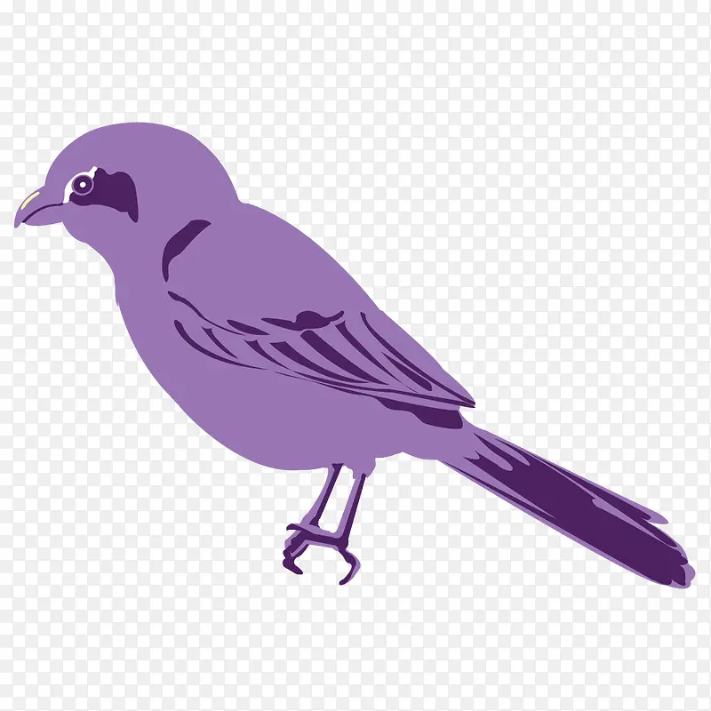 ��Ϧϲȵ-������