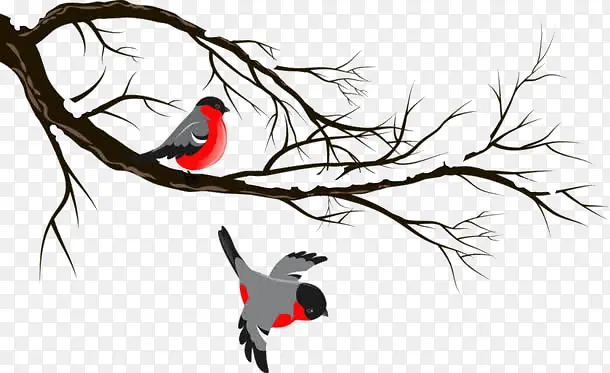 �й���Ԫ��-������