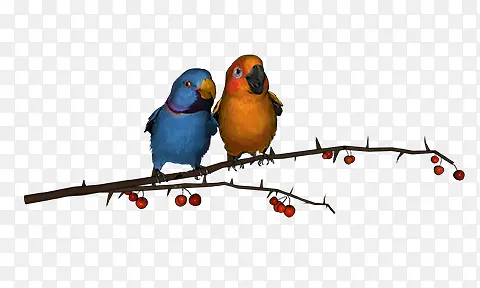 ϸ��֦-������