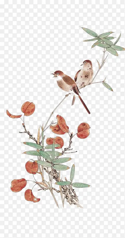 ��֦�ϵ�ϲȵ-������