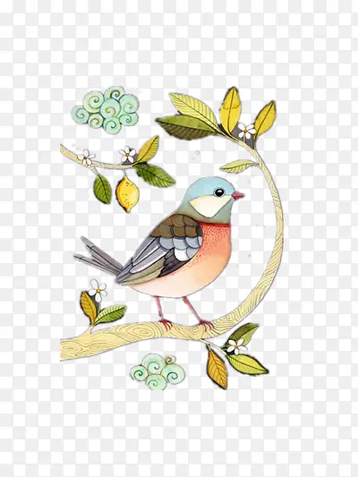 ϲȵ-������