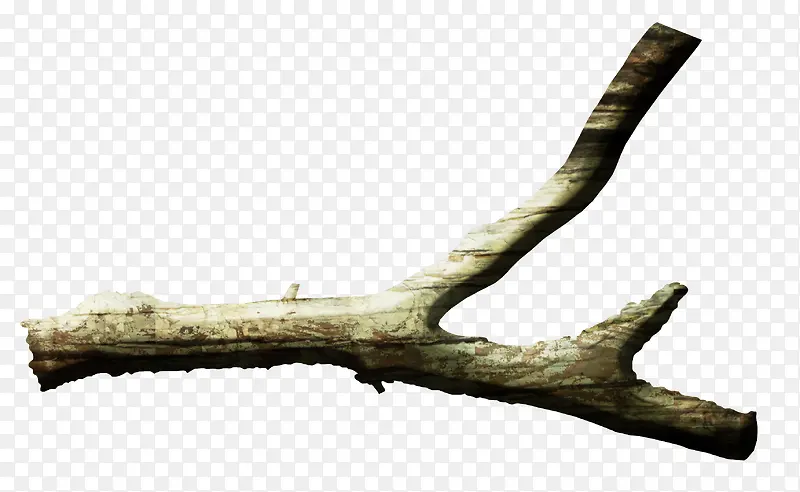 ��֦-������